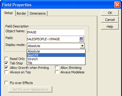 Report Image Property